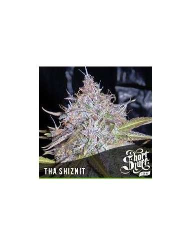 SHORT STUFF SEEDBANK - Auto Tha Shiznit - 1