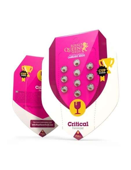 ROYAL QUEEN SEEDS - Critical - 7