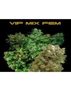 VIP SEEDS - VIP Mix - 1