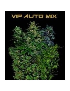VIP SEEDS - VIP Auto Mix - 1