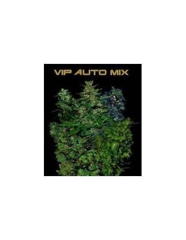 VIP SEEDS - VIP Auto Mix - 1