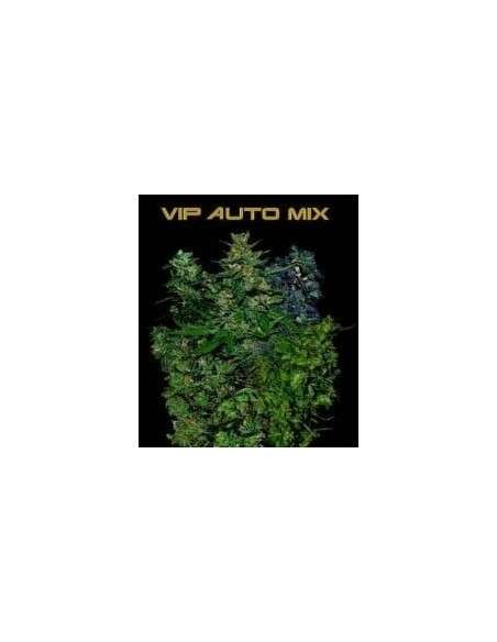 VIP SEEDS - VIP Auto Mix - 1