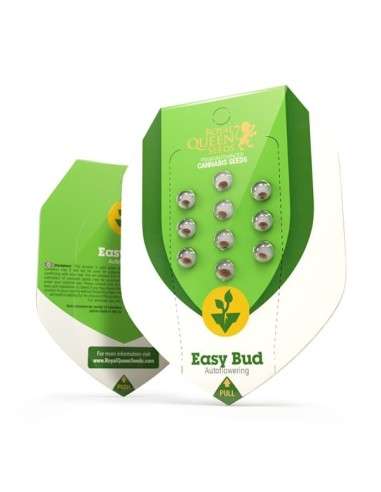 ROYAL QUEEN SEEDS - Easy Bud Auto - 7