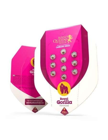 ROYAL QUEEN SEEDS - Royal Gorilla - 4