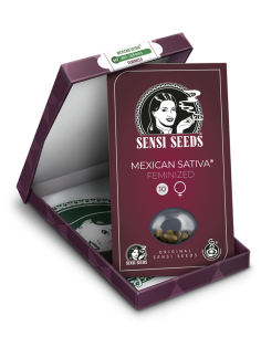 SENSI SEEDS - Mexican Sativa - 1 2