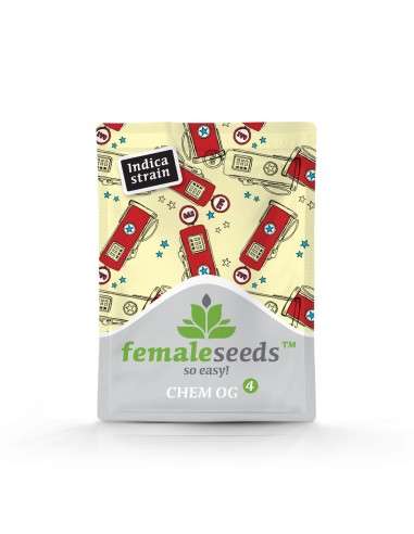 FEMALE SEEDS - Chem OG - 2