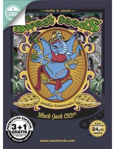 SWEET SEEDS - Black Jack CBD - 4