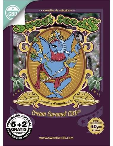 SWEET SEEDS - Cream Caramel CBD - 5