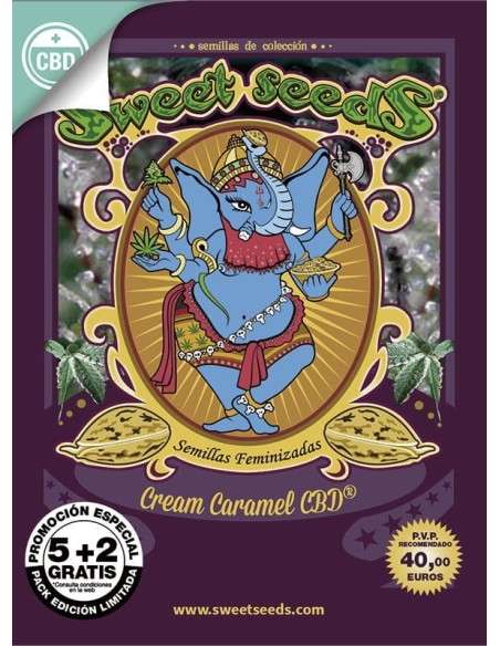 SWEET SEEDS - Cream Caramel CBD - 5