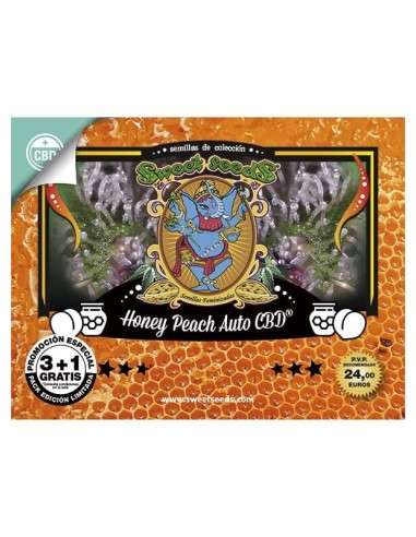 SWEET SEEDS - Honey Peach Auto CBD - 4
