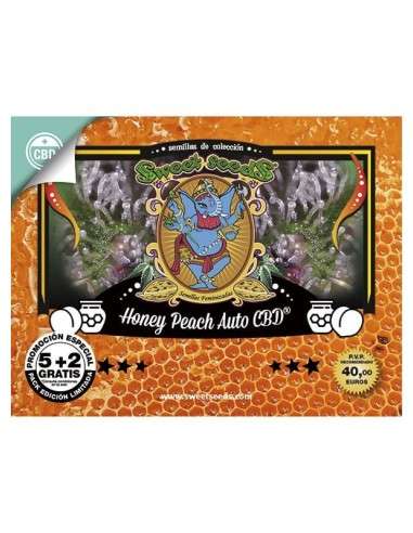 SWEET SEEDS - Honey Peach Auto CBD - 5
