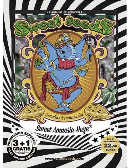 SWEET SEEDS - Sweet Amnesia Haze - 4