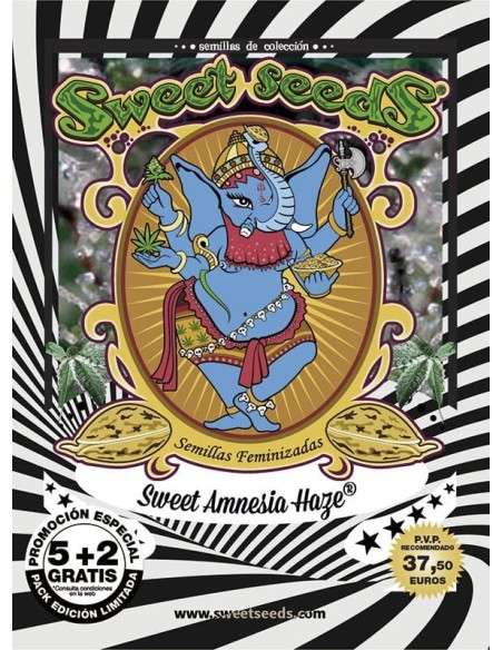 SWEET SEEDS - Sweet Amnesia Haze - 5