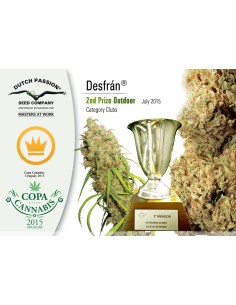 DUTCH PASSION - Auto Desfran - 1 2