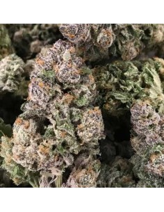 RARE DANKNESS - Dark Ghost Train - 1