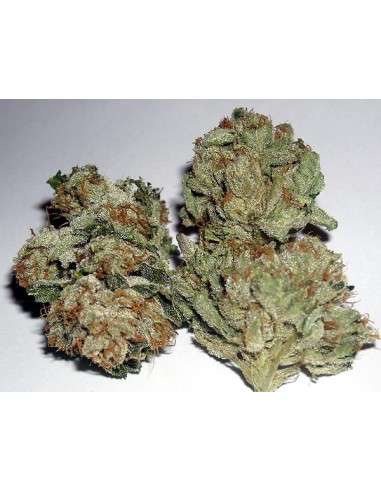 RARE DANKNESS - Rub Burn OG - 1
