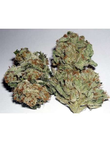 RARE DANKNESS - Rub Burn OG - 1