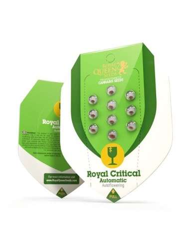 ROYAL QUEEN SEEDS - Royal Critical Automatic - 5