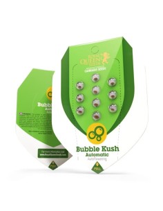 ROYAL QUEEN SEEDS - Bubble Kush Automatic - 1 2