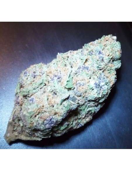 Purple Haze - 6