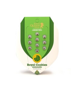ROYAL QUEEN SEEDS - Royal Cookies Automatic - 1 2