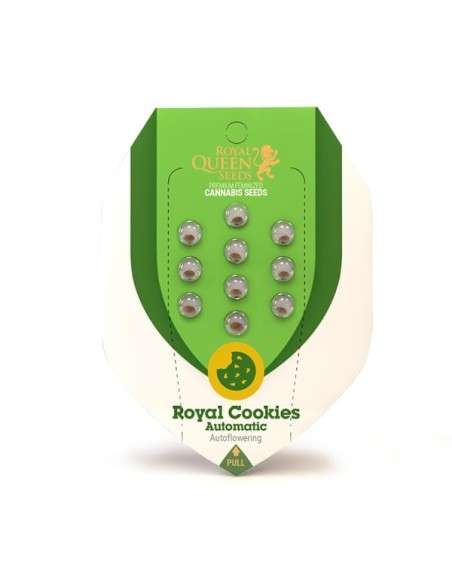 ROYAL QUEEN SEEDS - Royal Cookies Automatic - 2