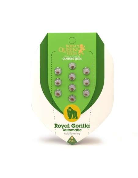 ROYAL QUEEN SEEDS - Royal Gorilla Automatic - 4
