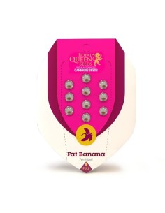 ROYAL QUEEN SEEDS - Fat Banana - 1 2