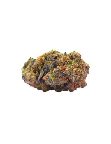 ROYAL QUEEN SEEDS - Green Gelato - 2