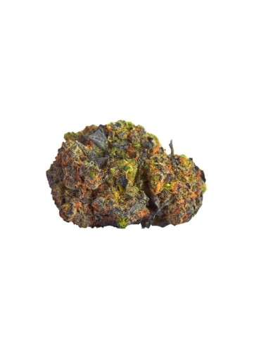 ROYAL QUEEN SEEDS - Green Gelato - 3