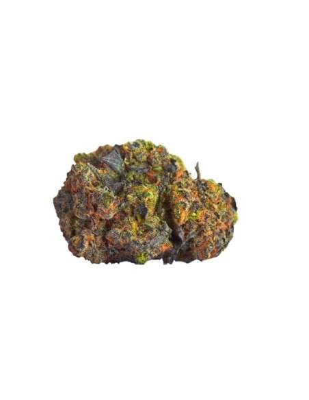 ROYAL QUEEN SEEDS - Green Gelato - 3