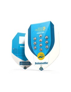 ROYAL QUEEN SEEDS - Solomatic CBD - 1 2