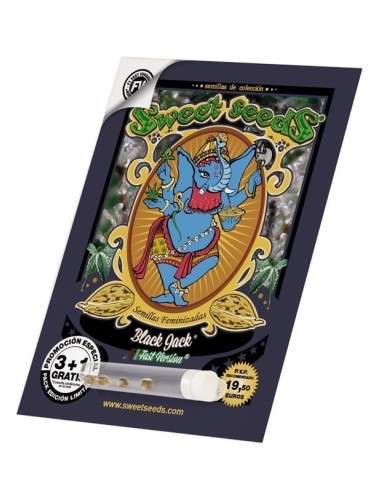 SWEET SEEDS - Black Jack F1 Fast Version - 2