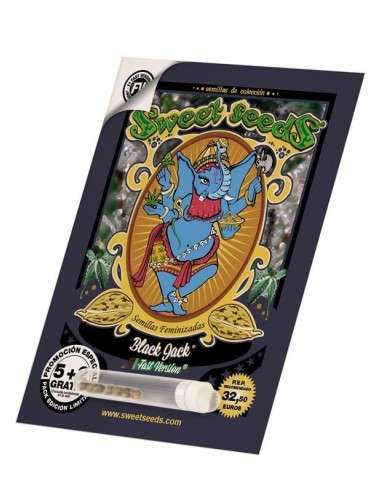 SWEET SEEDS - Black Jack F1 Fast Version - 3