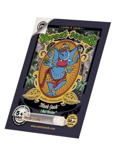 SWEET SEEDS - Black Jack F1 Fast Version - 3