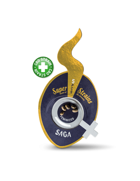 SUPER STRAINS - Saga CBD - 1