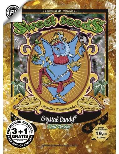 Sweet Seeds - Crystal Candy F1 Fast Version - 4