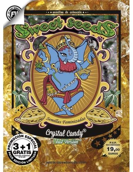 Sweet Seeds - Crystal Candy F1 Fast Version - 4