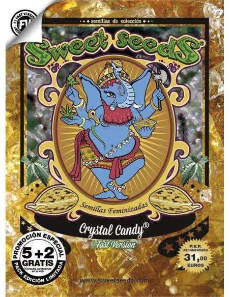 Sweet Seeds - Crystal Candy F1 Fast Version - 5