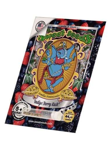 Sweet Seeds - Indigo Berry Kush - 5