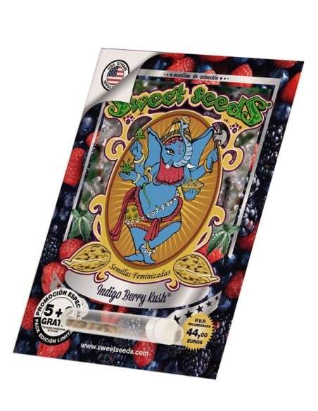 Sweet Seeds - Indigo Berry Kush - 5