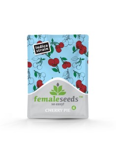 Female Seeds - Cherry Pie - 1 2