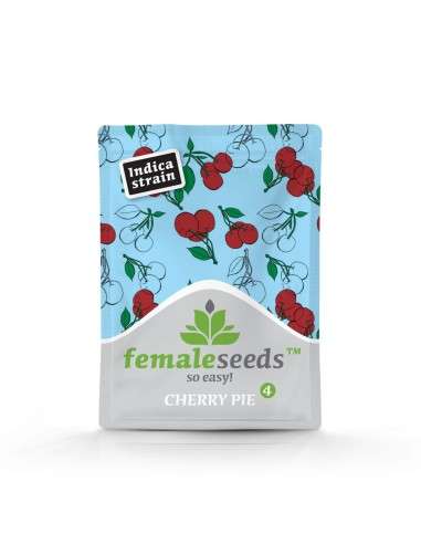 Female Seeds - Cherry Pie - 2