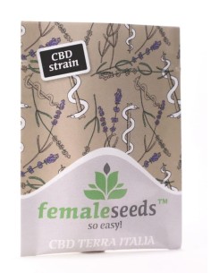 Female Seeds - CBD Terra Italia - 1 2