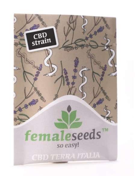 Female Seeds - CBD Terra Italia - 1