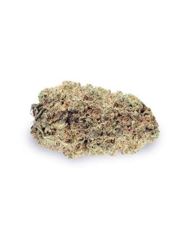 Power Lemon - 2