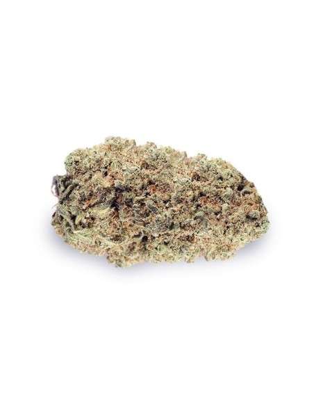 Power Lemon - 2