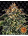Barney's Farm - Moby Dick - 1