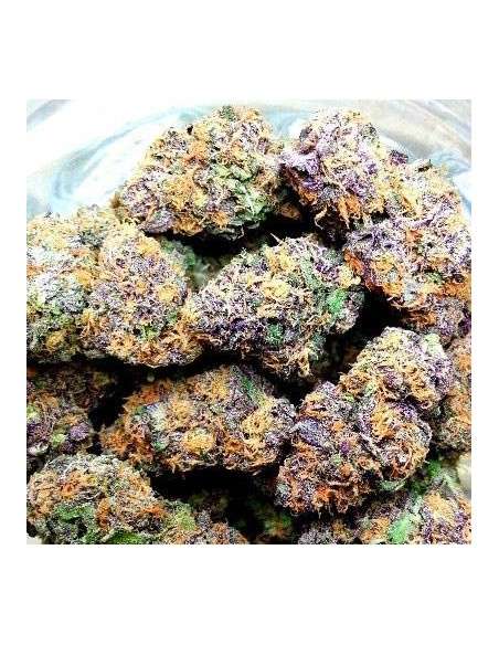 Gelato - 1