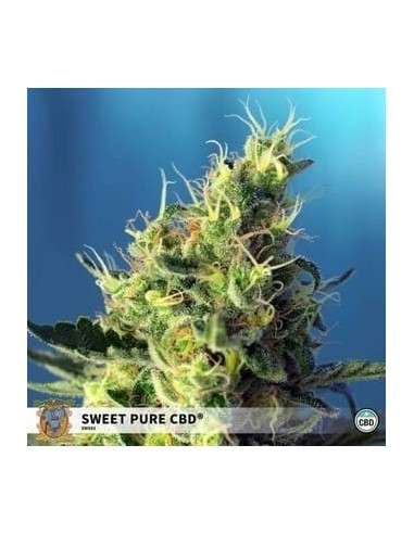 Sweet Seeds - Sweet Pure CBD - 1